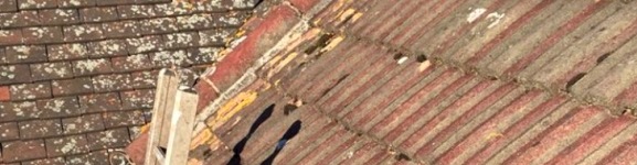 Other Services photo other services photo